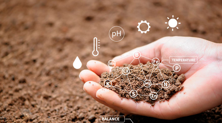 transformación digital